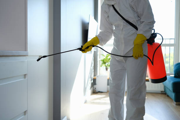 Why You Should Choose Our Mold Remediation Services in Bastrop, LA